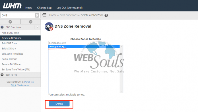 https://billing.websouls.com/images/Knowledgebase/DNS/dns1/del-dns-zone/3.png